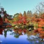 Eikando Zenrinji Temple: Kyoto’s Most Iconic Autumn Foliage Destination