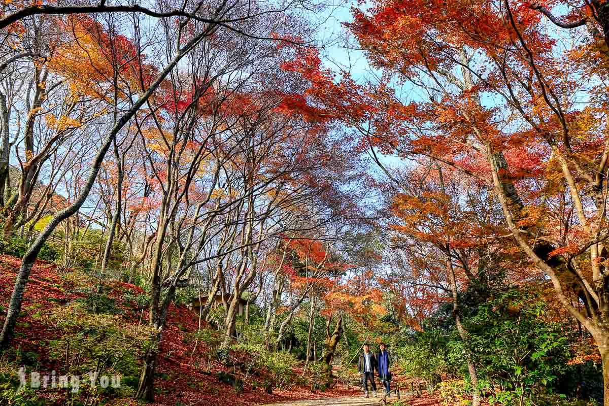 京都赏枫景点