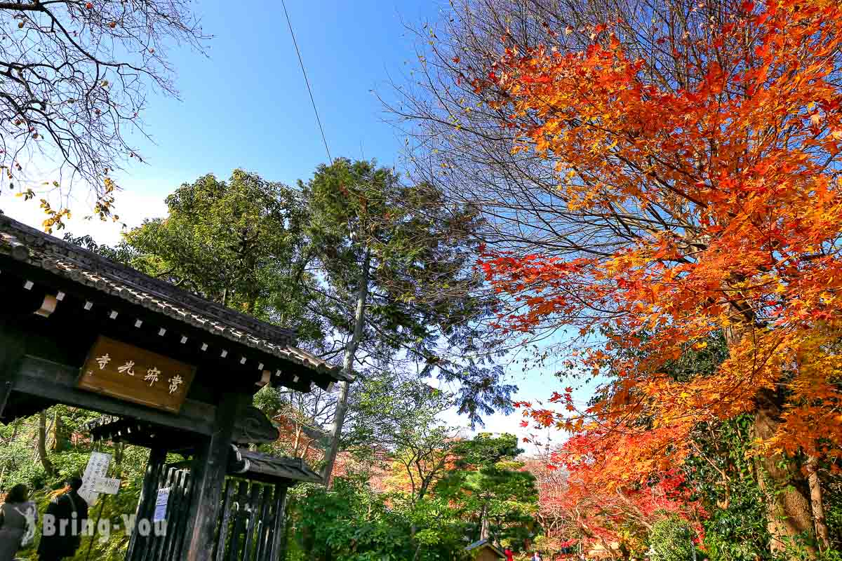 嵐山常寂光寺 京都賞楓賞櫻景點 綠光顯影與鮮活蘚苔搭襯嵐山市容 Bringyou