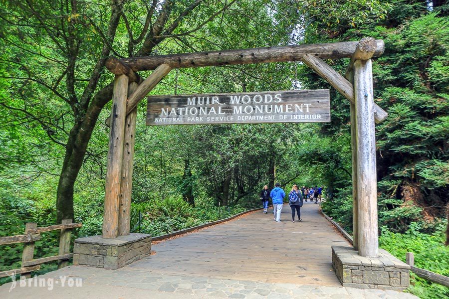 穆爾紅木林國家公園保護區 