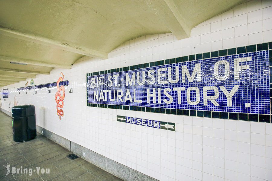 紐約自然歷史博物館
