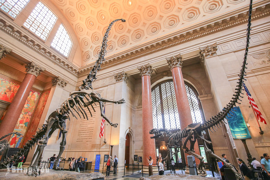 【美國紐約】自然歷史博物館門票攻略、各區域必看展覽介紹