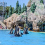 A Game-Changing Guide to SeaWorld San Diego: 7 Tips for a Hassle-Free Day Out
