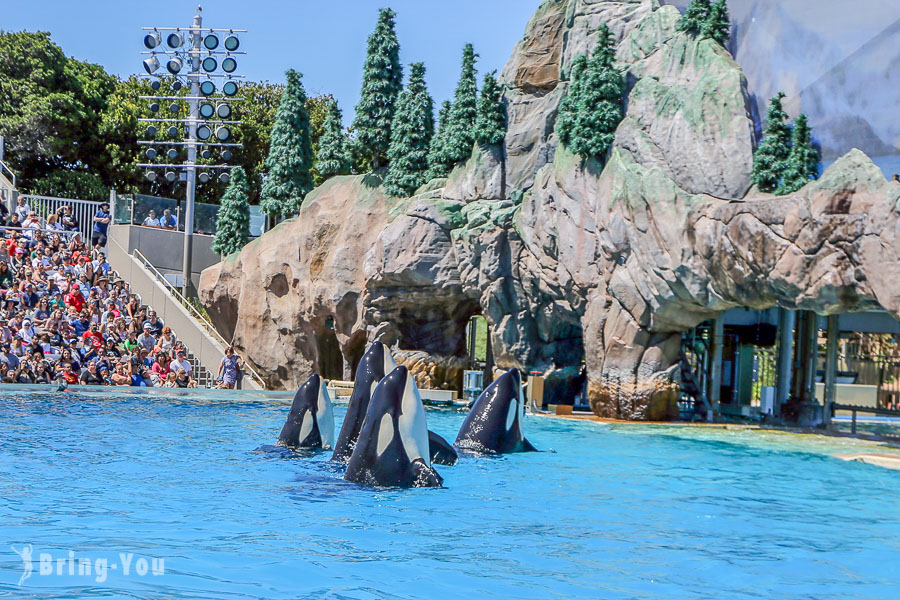 【聖地牙哥海洋世界主題公園】通吃卡門票、遊樂設施攻略