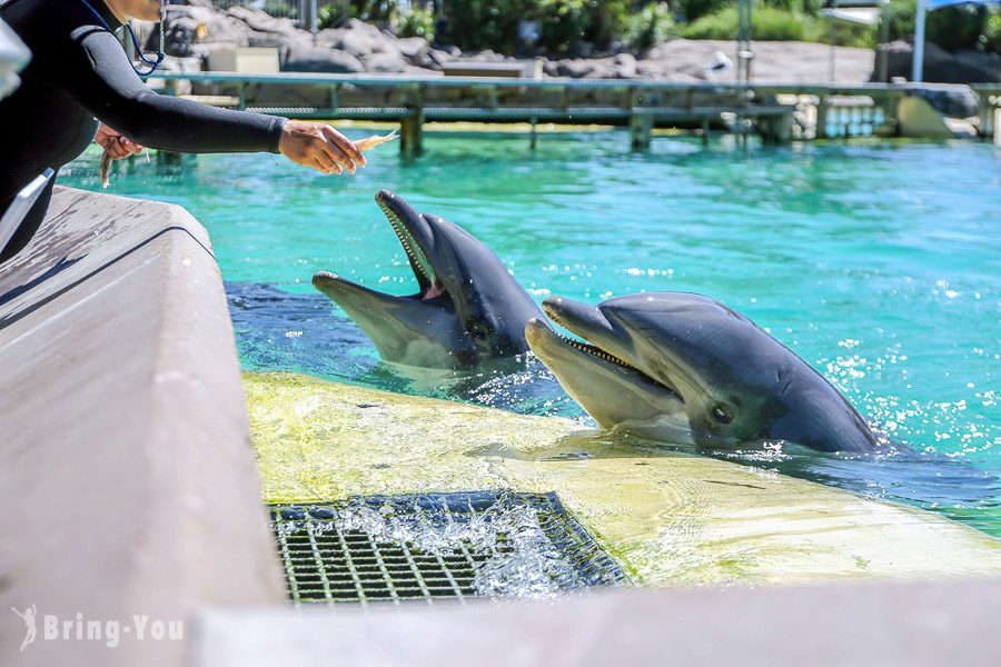 聖地牙哥海洋世界主題公園