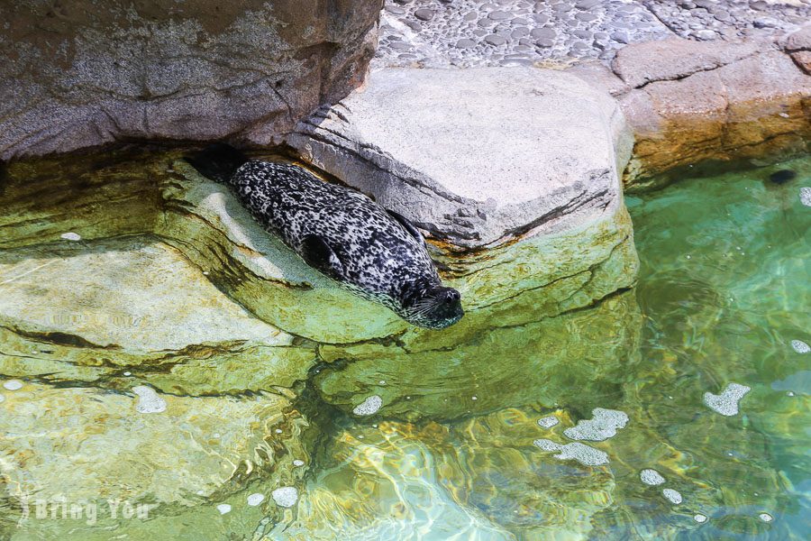 聖地牙哥海洋世界主題公園