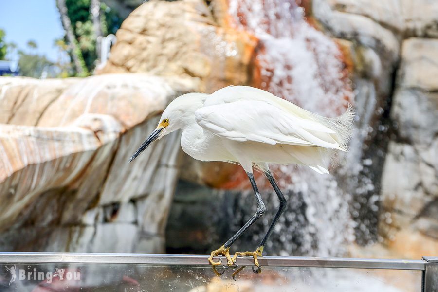 聖地牙哥海洋世界主題公園