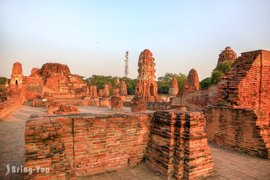 玛哈泰寺树中佛