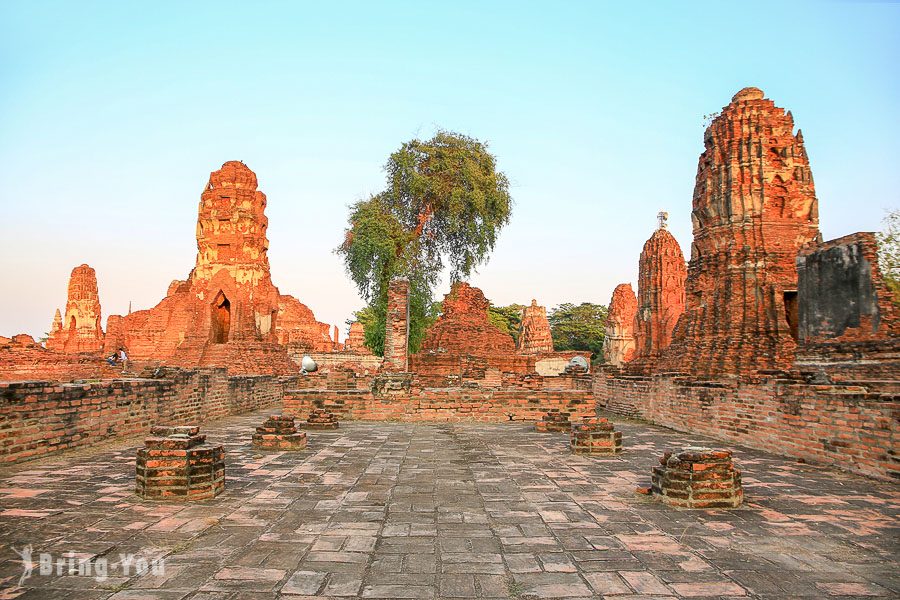 瑪哈泰寺樹中佛