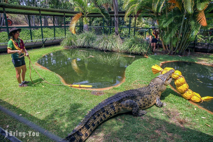 Snakes Downunder Reptile Park and Zoo