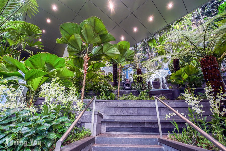 星耀樟宜植物园