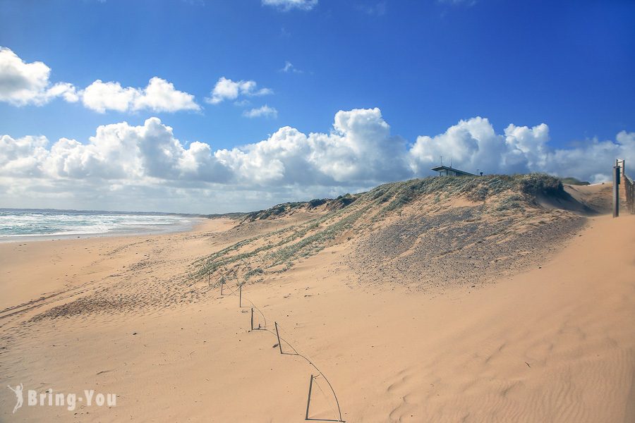 菲利浦島 Phillip Island