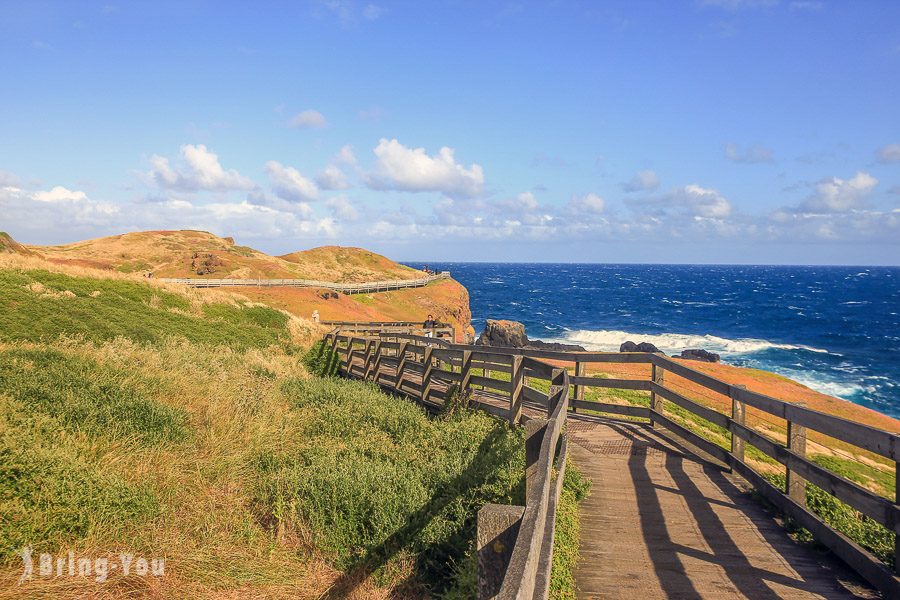 菲利浦島 Phillip Island