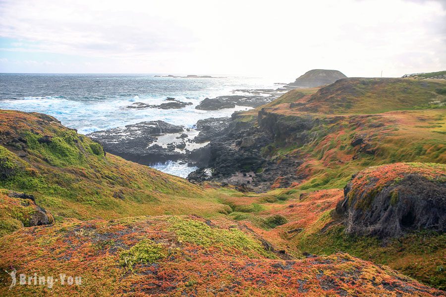 菲利浦岛 Phillip Island