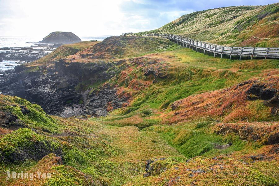 菲利浦岛 Phillip Island