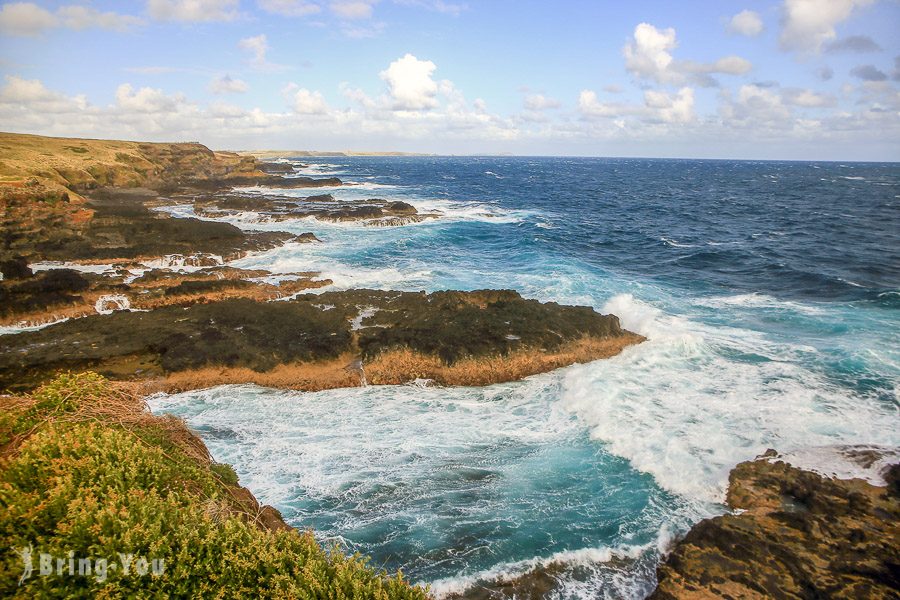 菲利浦島 Phillip Island