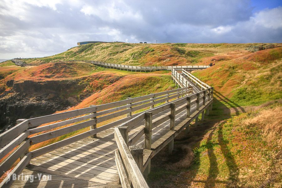 菲利浦島 Phillip Island