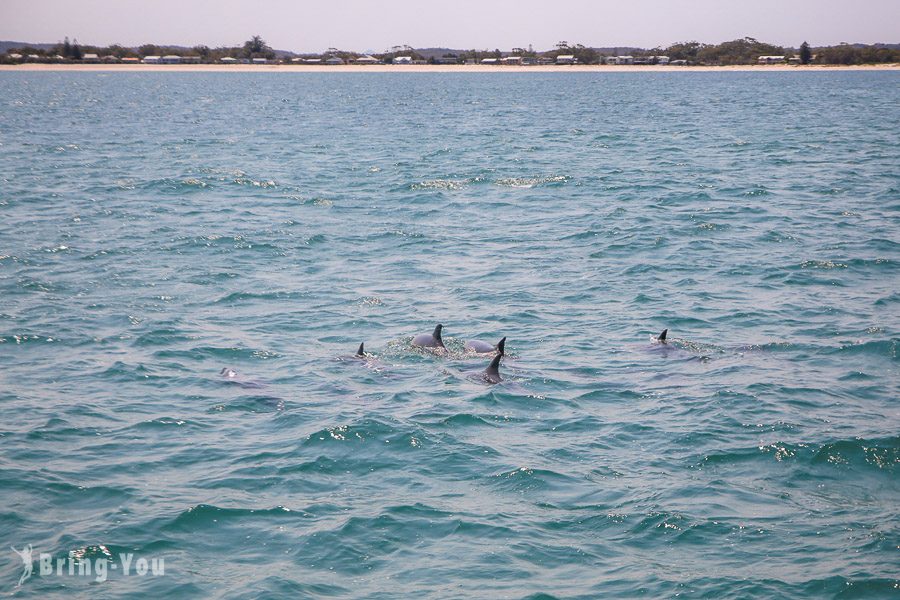 史蒂芬港 Port Stephens