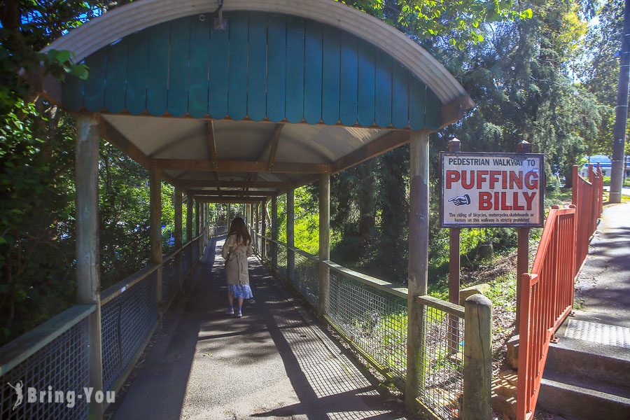 普芬比利蒸汽火車 Puffing Billy Railway