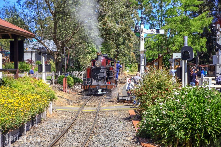 普芬比利蒸汽火车 Puffing Billy Railway