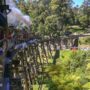 Puffing Billy Visitor’s Guide: Travel Tips, Tickets, and What to See