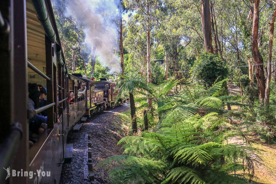 普芬比利蒸汽火車 Puffing Billy Railway