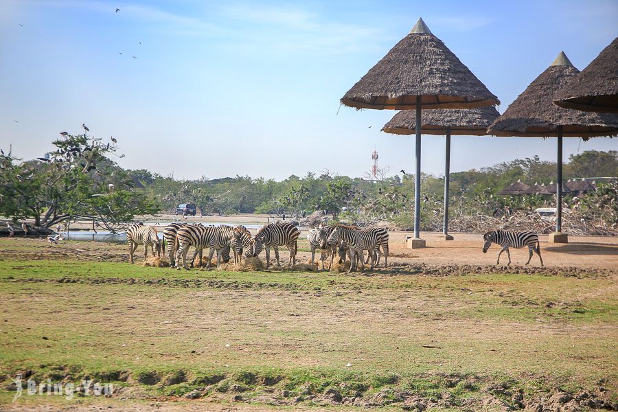 Safari World 曼谷賽佛瑞野生世界