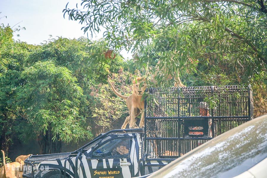 Safari World 曼谷赛佛瑞野生世界