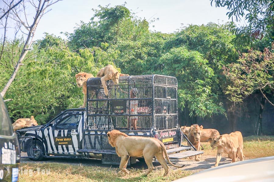 Safari World 曼谷賽佛瑞野生世界