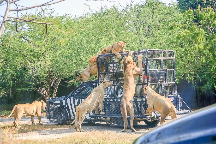 Safari World 曼谷賽佛瑞野生世界