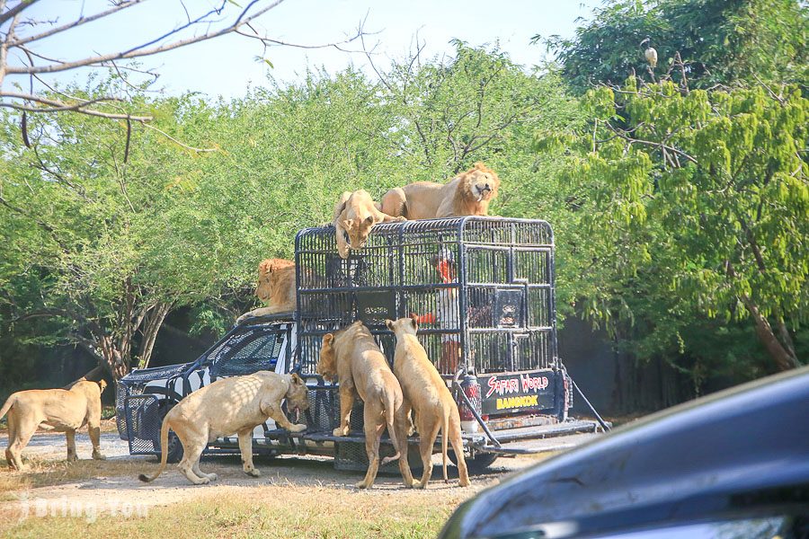 Safari World 曼谷賽佛瑞野生世界