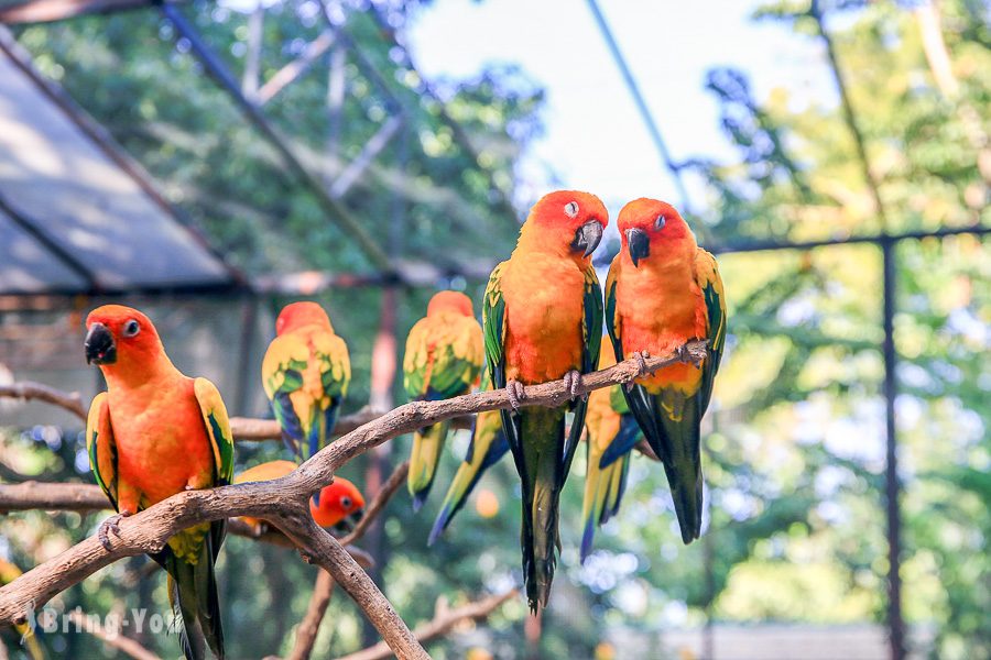 Safari World 曼谷賽佛瑞海洋公園