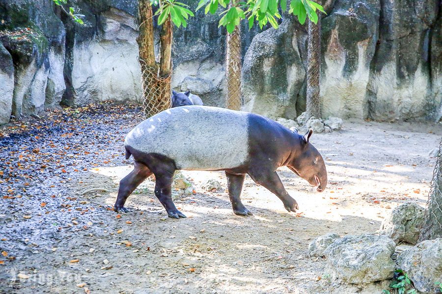 Safari World 曼谷賽佛瑞海洋公園