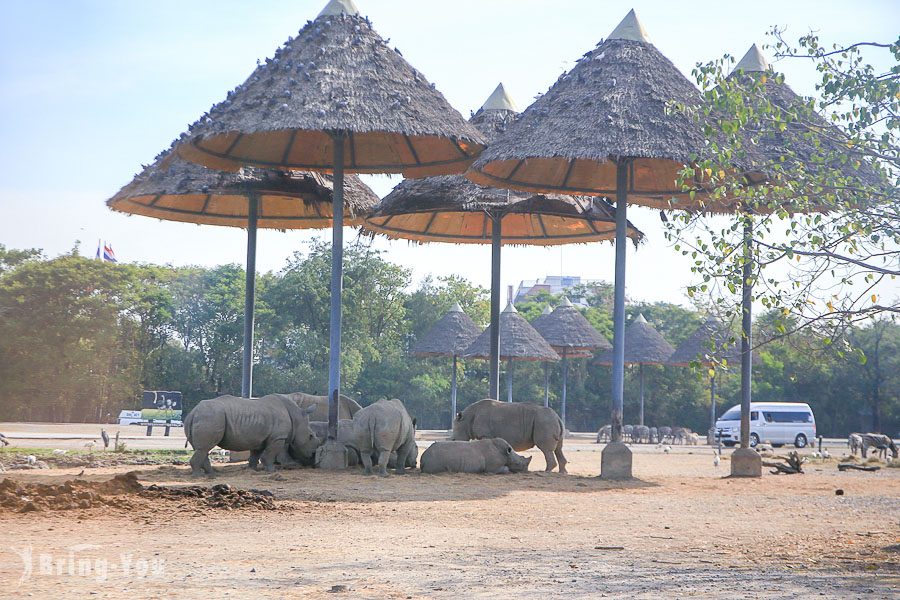 Safari World 曼谷賽佛瑞野生世界