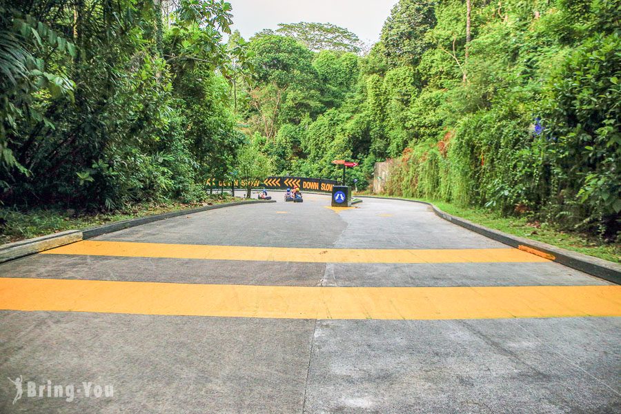 新加坡斜坡滑車-聖淘沙Skyline Luge Sentosa