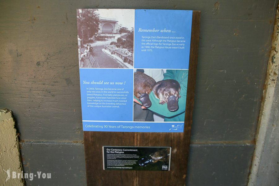 塔龙加动物园 Taronga Zoo