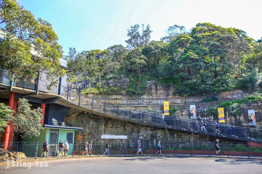 塔龙加动物园 Taronga Zoo