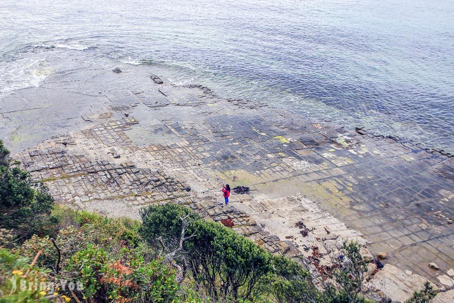 塔斯曼半岛 Tasman Peninsula