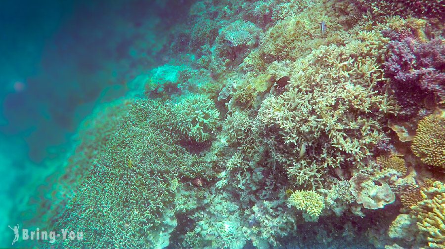 大堡礁景点