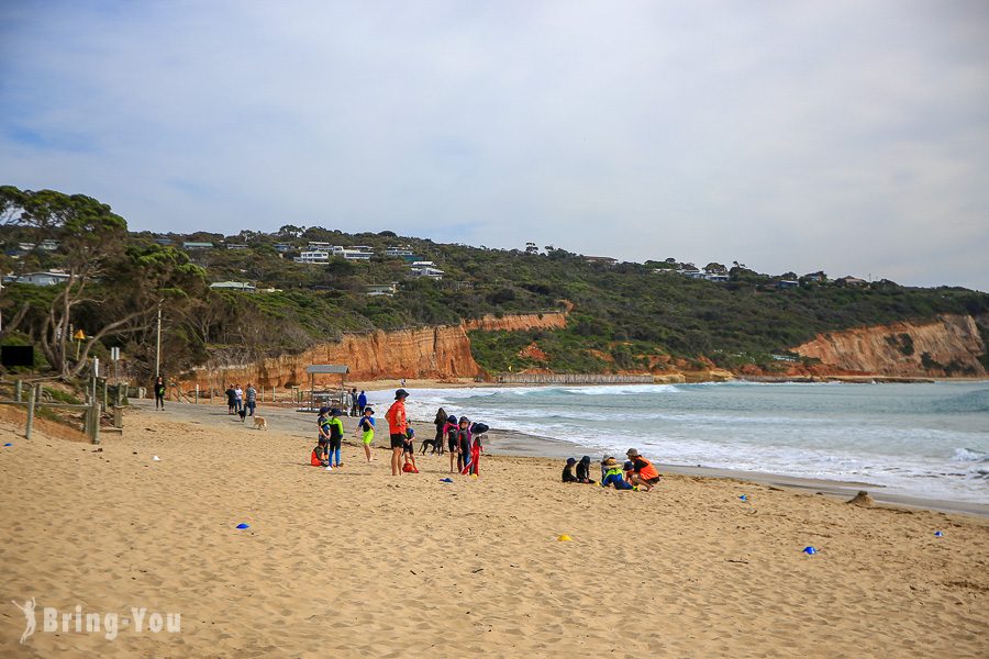 大洋路 The Great Ocean Road