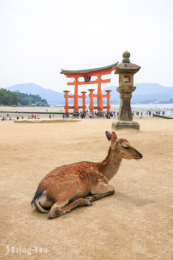 嚴島神社大鳥居