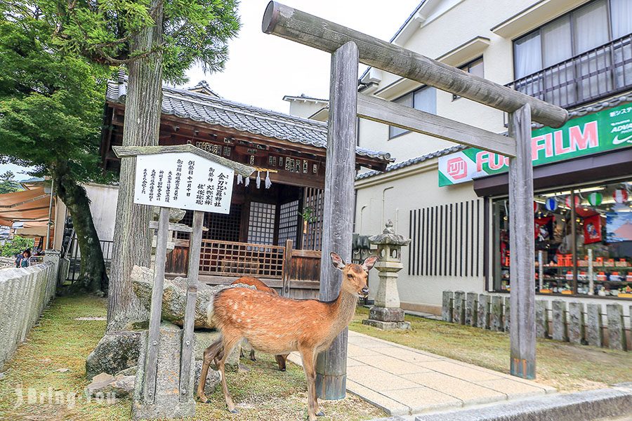 严岛神社