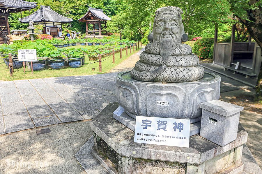 宇治三室户寺