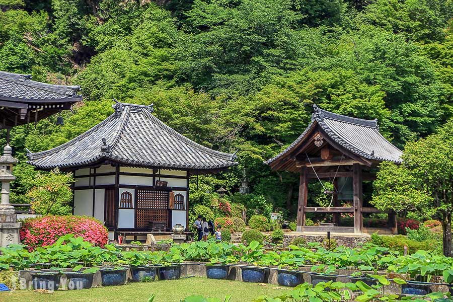 宇治三室户寺