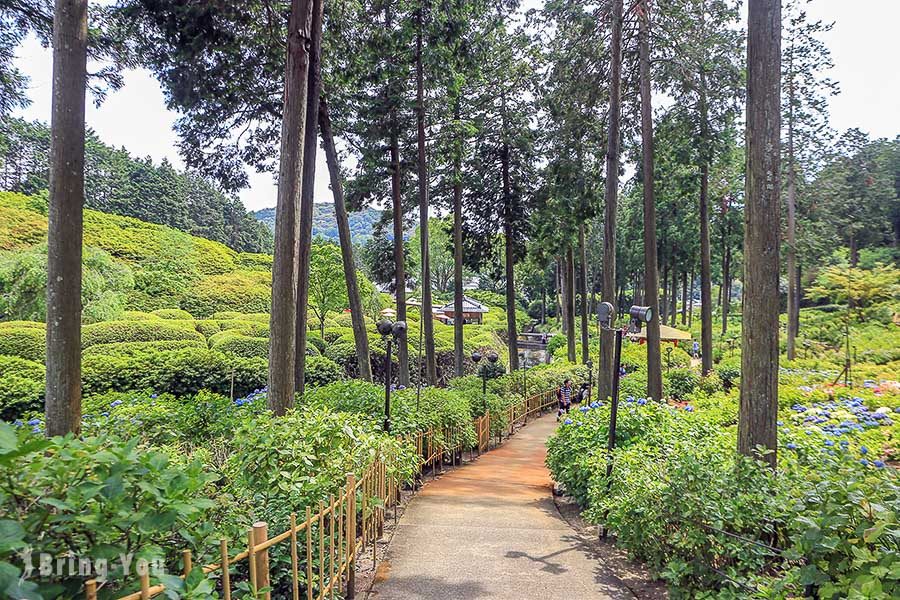 宇治三室戶寺