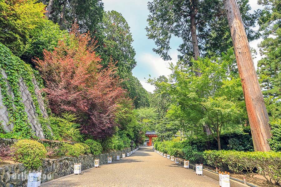 宇治三室户寺