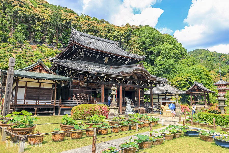 宇治三室戶寺