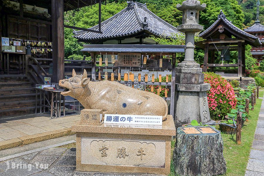 宇治三室戶寺