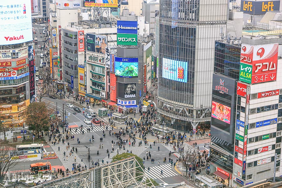 Shibuya Crossing Area in Tokyo: Things To See And Do