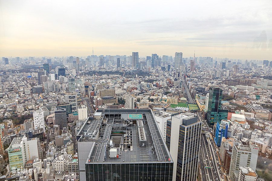 SHIBUYA SKY 觀景台